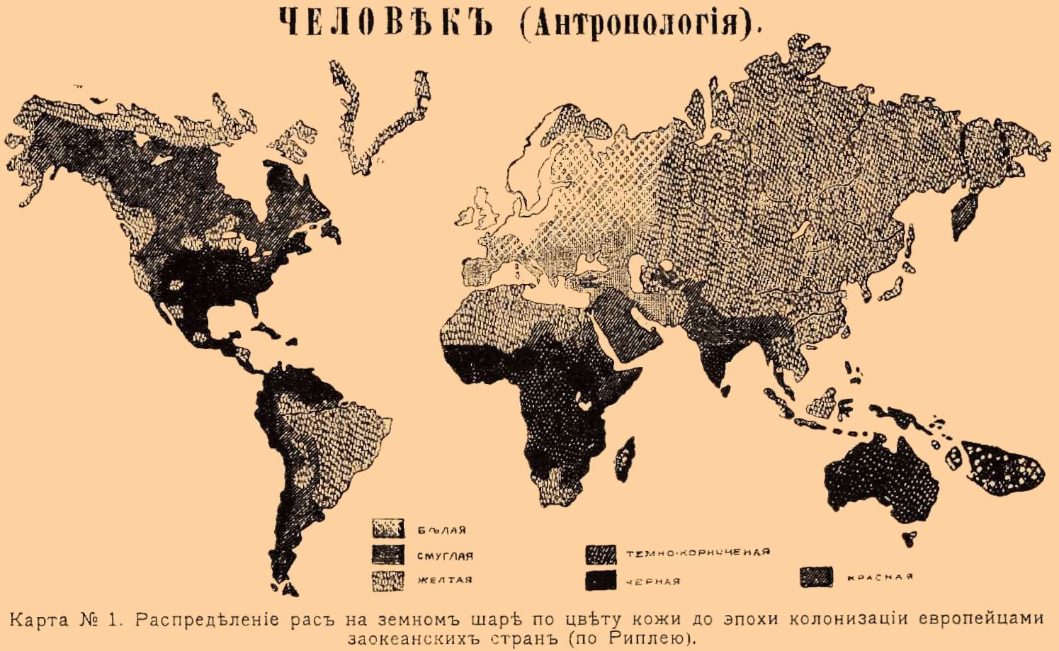 Карта человеческие расы