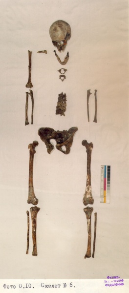 Файл:Tsar family expertise Ck6.jpg