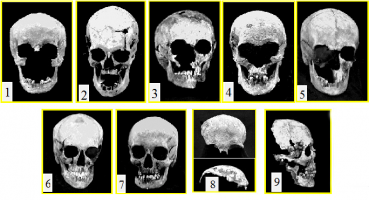 Tsar family expertise skulls 1-9.png