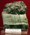 M-antigor 7 2266.JPG