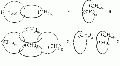 Органическая химия i7 (БСЭ).gif