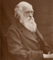 1878Darwin.jpg