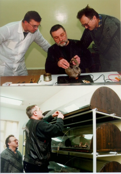 Файл:Tsar family expertise tomography 1.jpg