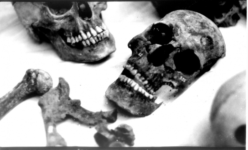 Файл:Tsar family expertise tomography 10.jpg