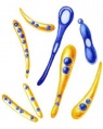 Бактерии 2 (БСЭ).jpg