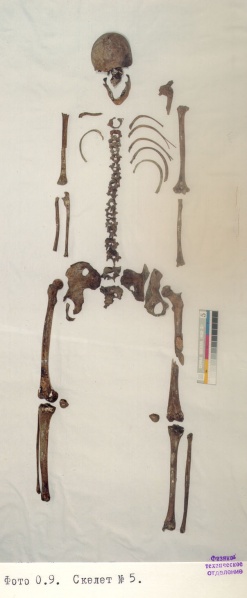 Файл:Tsar family expertise Ck5.jpg