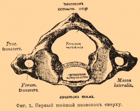 Коновалов Сергей Сергеевич: Атлас информационной медицины. Здоровье позвоночника и суставов