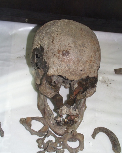 Файл:Tsar family expertise tomography 6.jpg