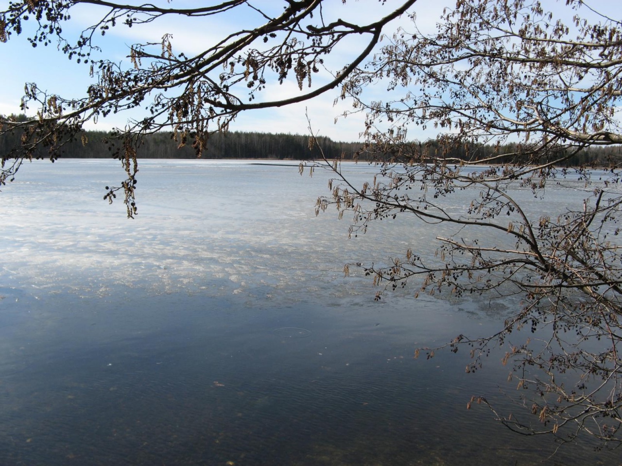 белое озеро лунинец