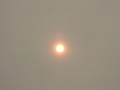 Солнце во мгле Шатура 30 07 2010.JPG