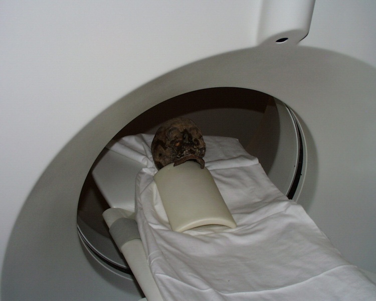 Файл:Tsar family expertise tomography 9.jpg